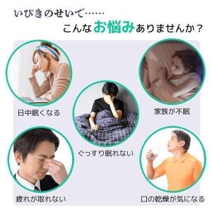 【5のつく日限定 10%OFFクーポン配布中】...の詳細画像3