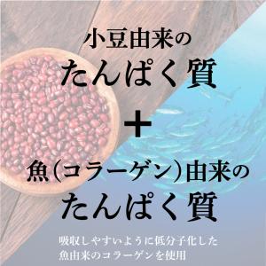 コラーゲン ようかん タンパク 送料無料 羊羹...の詳細画像3