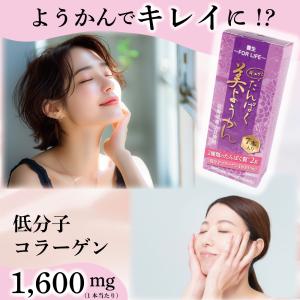 コラーゲン ようかん タンパク 送料無料 羊羹...の詳細画像4