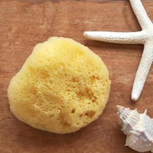 ナチュラル 海綿スポンジ シルク 天然 スポンジ ベビー