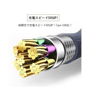 USB Type-Cケーブル 長さ0.25/0...の詳細画像3