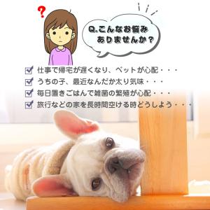 ペット自動給餌器 カメラ付きペット給餌器 スマ...の詳細画像2