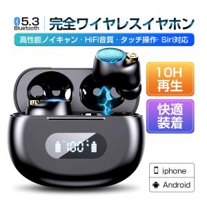 SONY NW-W5623 ワイヤレスイヤホン 4GB ブラック NWWS413BM - Walmart.com