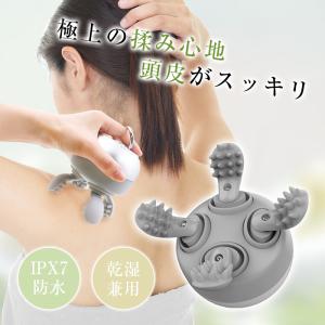 正規代理店 RAYMAX VITER レイマックス バイター NEW-7(ニューセブン