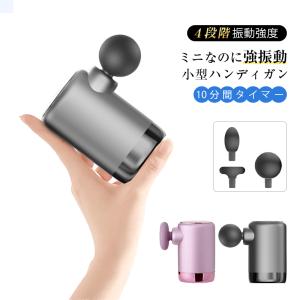 正規代理店 RAYMAX VITER レイマックス バイター NEW-7(ニューセブン