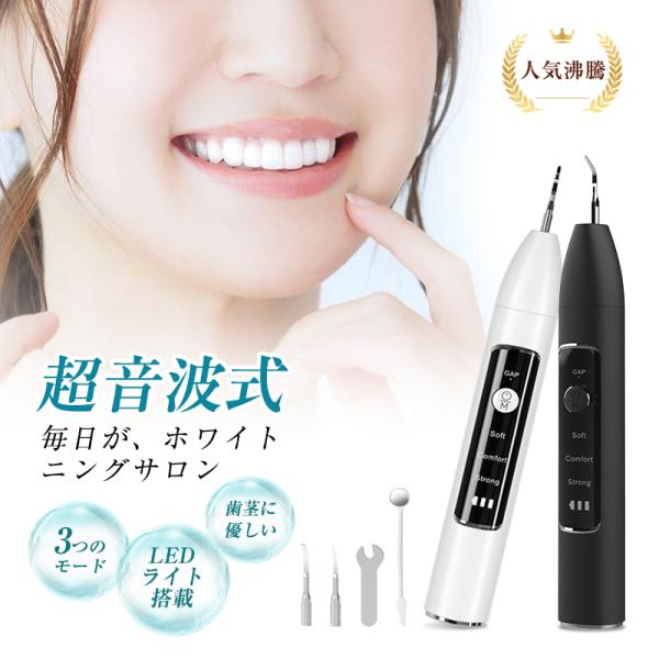 電動歯石取り器 家庭用 歯石除去器 口腔ミラー付き プロ級 歯茎に優しい ポータブル 2種類チップ付...