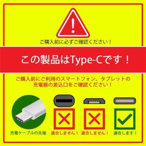 USB Type-C充電ケーブル 長さ0.25...の詳細画像1
