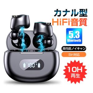 多摩電子工業 Bluetooth フルワイヤレスイヤホン 黒 ABS37K : ザッカズ