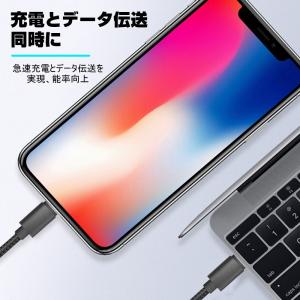 Type C to Lightning ケーブ...の詳細画像3