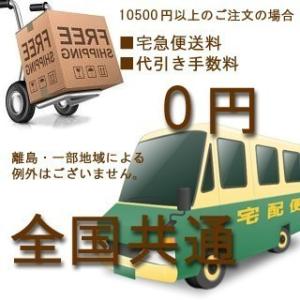 NO BRAND【全8色★光沢のあるスムースタ...の詳細画像3