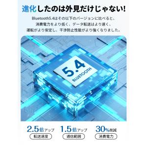 【2,480円→1,660円2時間特売】ワイヤ...の詳細画像4