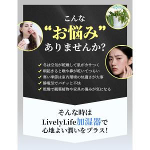 【2,980円→1,980円12時間特売】加湿...の詳細画像1