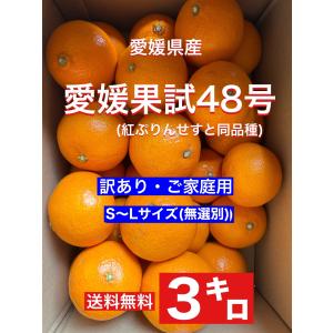 小さな果物屋さん - Yahoo!ショッピング