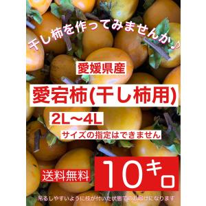 【大玉】干し柿を作ってみませんか♪愛媛県産 愛宕(あたご）柿 10キロご家庭用 （ 2L〜4Lサイズ）