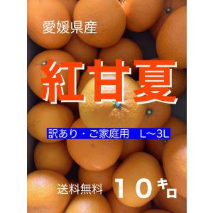 小さな果物屋さん - Yahoo!ショッピング