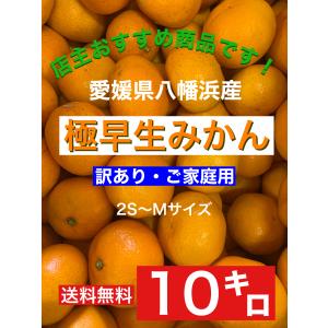 小さな果物屋さん - Yahoo!ショッピング