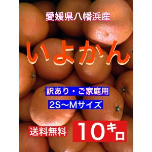 愛媛県八幡浜産 いよかん10キロ 訳あり・ご家庭用 2S〜Mサイズ