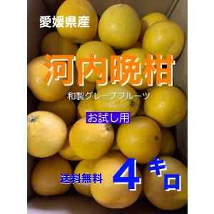 愛媛県産 河内晩柑4キロお試し用 訳あり・ご家庭用｜小さな果物屋さん