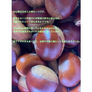 愛媛県産 中山栗2キロ(生栗)ご家庭用 お菓子...の詳細画像2