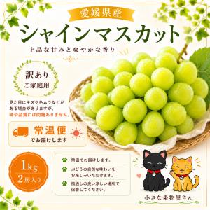【常温便】愛媛県産シャインマスカット約1〜1.1キロ 2房入り 送料無料 わけあり