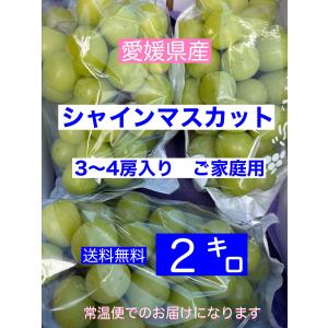 いつもありがとうございます！！小さな果物屋さん