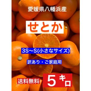 愛媛県産ミニミニせとか5キロ（訳あり・ご家庭用）3S〜Sサイズ
