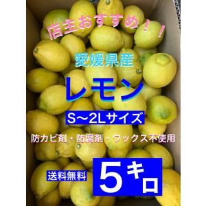 68.国産瀬戸内レモン　農薬不使用　大きめ40〜45個 64国産瀬戸内レモン 農薬不使用 大きめ40〜45個 - メルカリ