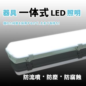 LEDベースライト一体型 チップ式 40W形 IP65 防雨 防水 防雪 防塵 耐