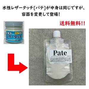【送料無料】水性レザータッチ パテ （パウチタイプ） 90g
