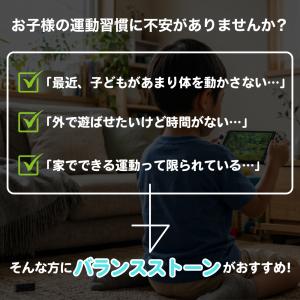 バランスストーン ミニ 飛び石 子供 体幹 バ...の詳細画像2