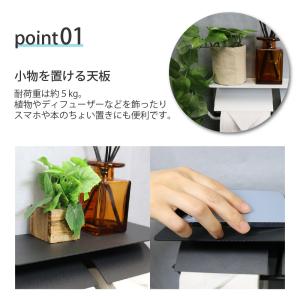 トイレットペーパーホルダー ダブル アイアン ...の詳細画像3