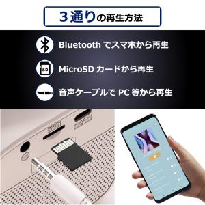 2024新型 Smaly ミニ カラオケセット...の詳細画像3