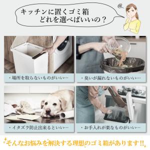 ゴミ箱 9L おしゃれ 壁掛け 扉掛け ぶら下...の詳細画像1