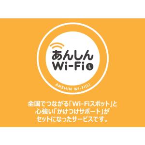 あんしんWi-Fi（L）（1ヶ月版）