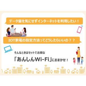 あんしんWi-Fi(L)(1ヶ月版)の詳細画像1