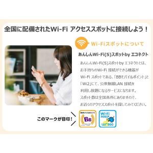 あんしんWi-Fi(L)(1ヶ月版)の詳細画像2