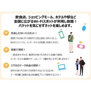 あんしんWi-Fi(L)(1ヶ月版)の詳細画像3