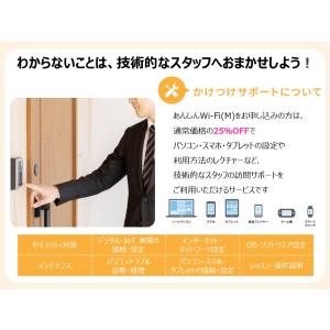 あんしんWi-Fi(L)(1ヶ月版)の詳細画像4