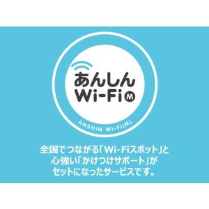 あんしんWi-Fi（M）（1ヶ月版）