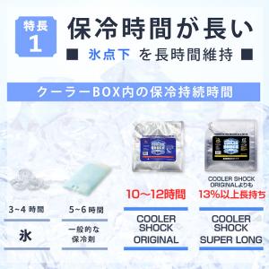2個セット 保冷剤 最強 長時間 クーラーショ...の詳細画像4