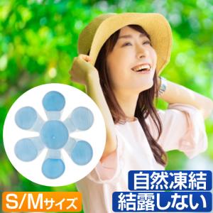 帽子用 保冷剤 《最安値挑戦中》 冷却材 ワンランク上の 帽子用保冷剤 結露しない ヘッドクール 自然凍結｜smart-factory