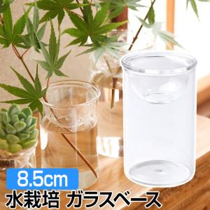 花瓶 鉢 全品P3倍 ガラス鉢 ガラスベース 8.5cm クリア 水栽培 球根 植物 フラワーベース MINI BULB VASE SPICE OF LIFE インテリア雑貨｜smart-factory