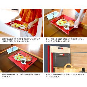 EXELUX フリーフォームトレー S 無地(...の詳細画像2