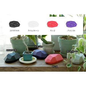 サンゴ残り1点! suuu イシ 吸水スポンジ...の詳細画像1