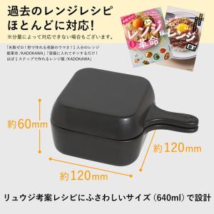 レンジでも使える!リュウジの万能スキレット リ...の詳細画像3