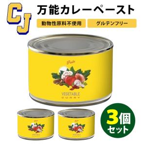 カレージョッキー 万能カレーペースト 3個セット 缶詰  食品A(DM)（TCP）｜smart-kitchen