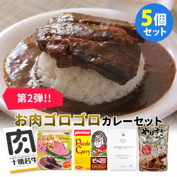 第2弾 人気のお肉ゴロゴロ系カレー 5種セット 肉ソン・鳥取和牛・ハンバーグ・ピッコロカリー・やりす...