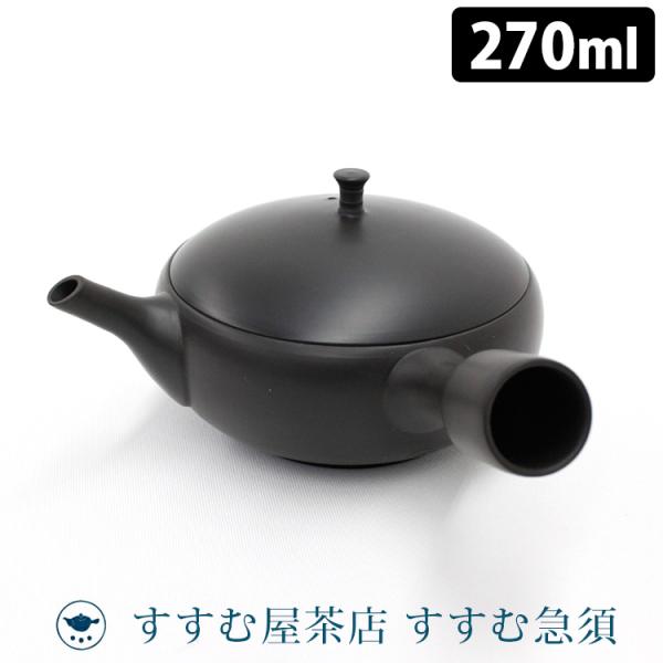 すすむ屋茶店 常滑焼 すすむ急須 （270ml  すすむ屋茶具 正規品 ささめ茶こし 日本製）