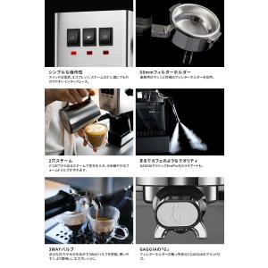 GAGGIA クラシック Evo Pro ステ...の詳細画像3