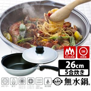 MUNDER 鉄ホーロー製 フライパン 24cm IH対応 ミュンダー社 MUNDER